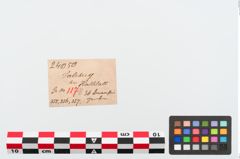 Etiketten zu Perlenkette (NHMW-PRAE-024050)